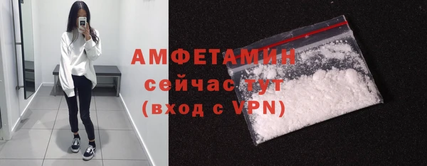 индика Осташков