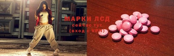 шишки Осинники
