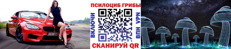 Галлюциногенные грибы Cubensis  Нефтекумск 