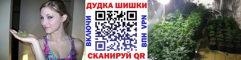 MEGA маркетплейс  Нефтекумск  Шишки марихуана план 